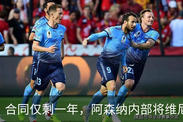 合同仅剩一年，阿森纳内部将维尼修斯列为头号目标，阿尔特塔很着迷