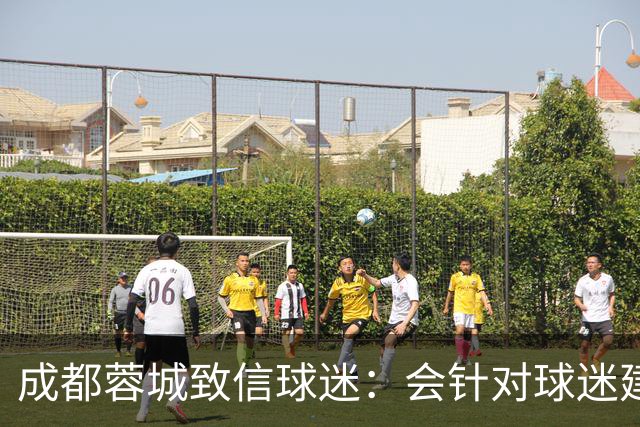 成都蓉城致信球迷：会针对球迷建议改进，持续抓好备战
