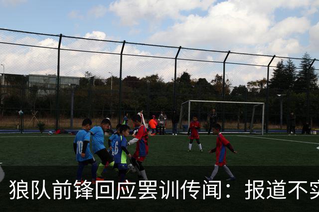 狼队前锋回应罢训传闻：报道不实，我一直很职业