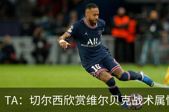 TA：切尔西欣赏维尔贝克战术属性，他会穿插跑动并牵制对方后卫